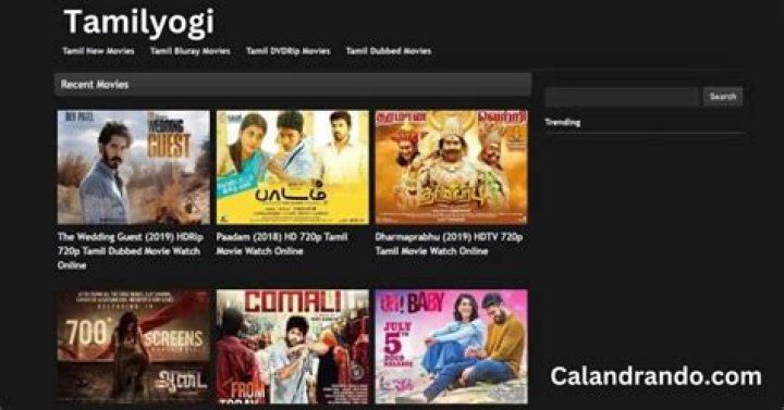 Discover The World Of Tamilyogi.vip: Your Ultimate Streaming Destination