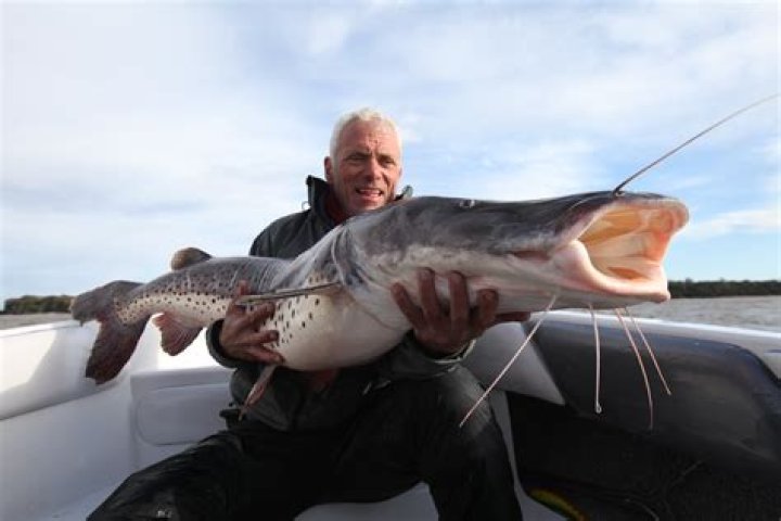 Does Legendary Angler Jeremy Wade Have Children? Uncover The Truth