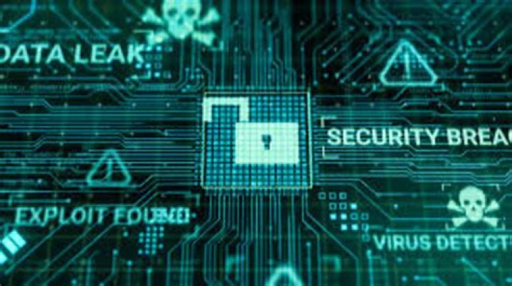 Inside Scoop: Jellybrains Data Breach Uncovers Vulnerabilities