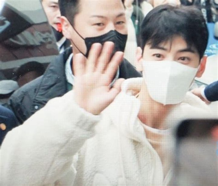 Is Cha Eunwoo Dating: Unveiling The Truth