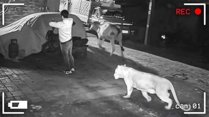 Mom And Kid Caught On CCTV Camera - Watch Now