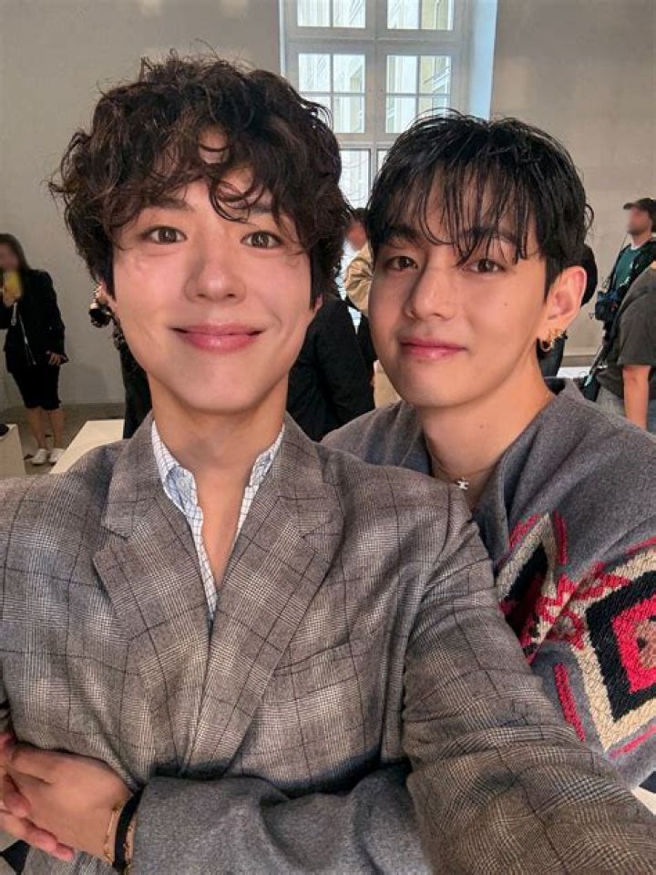 Park Bo Gum And Kim Soo Hyun: A Tale Of Two Talented Stars