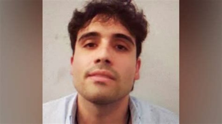 The Tragic Demise Of Edgar Guzman: Son Of El Chapo Meets Untimely End