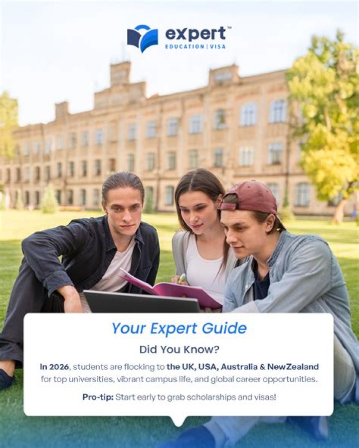 Top-Rated Tracy Vaccaro: Your Expert Guide To Success