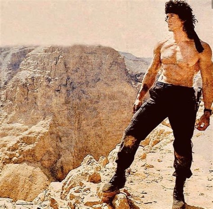 Unraveling The Age Of An Icon: How Old Is Sylvester Stallone?