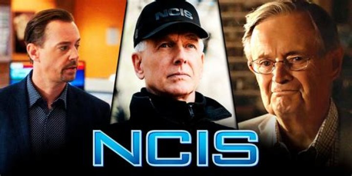 Unraveling The Intricacies Of NCIS Character Ducky