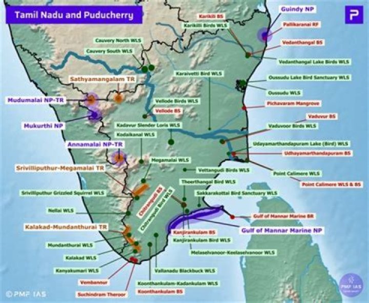 Unveiling The Birth Of Annamalai: When Was Annamalai Born?